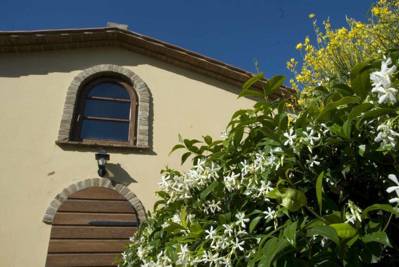 Bio Agriturismo Il Melograno Di Banditella Ristorante Alberese Zewnętrze zdjęcie